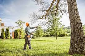 Trusted Hickory, NC Tree Removal and Landscaping Services Experts